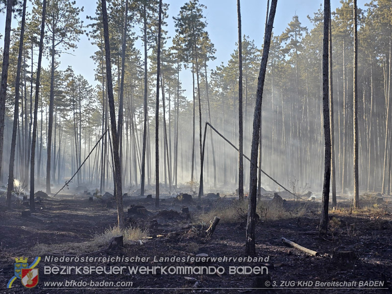 20260814-15_Kr&auml;fte aus dem Bezirk BADEN unterst&uuml;tzen wieder beim erneuten Brand im F&ouml;hrenwald St.Egyd am Steinfeld im Bezirk Neunkirchen