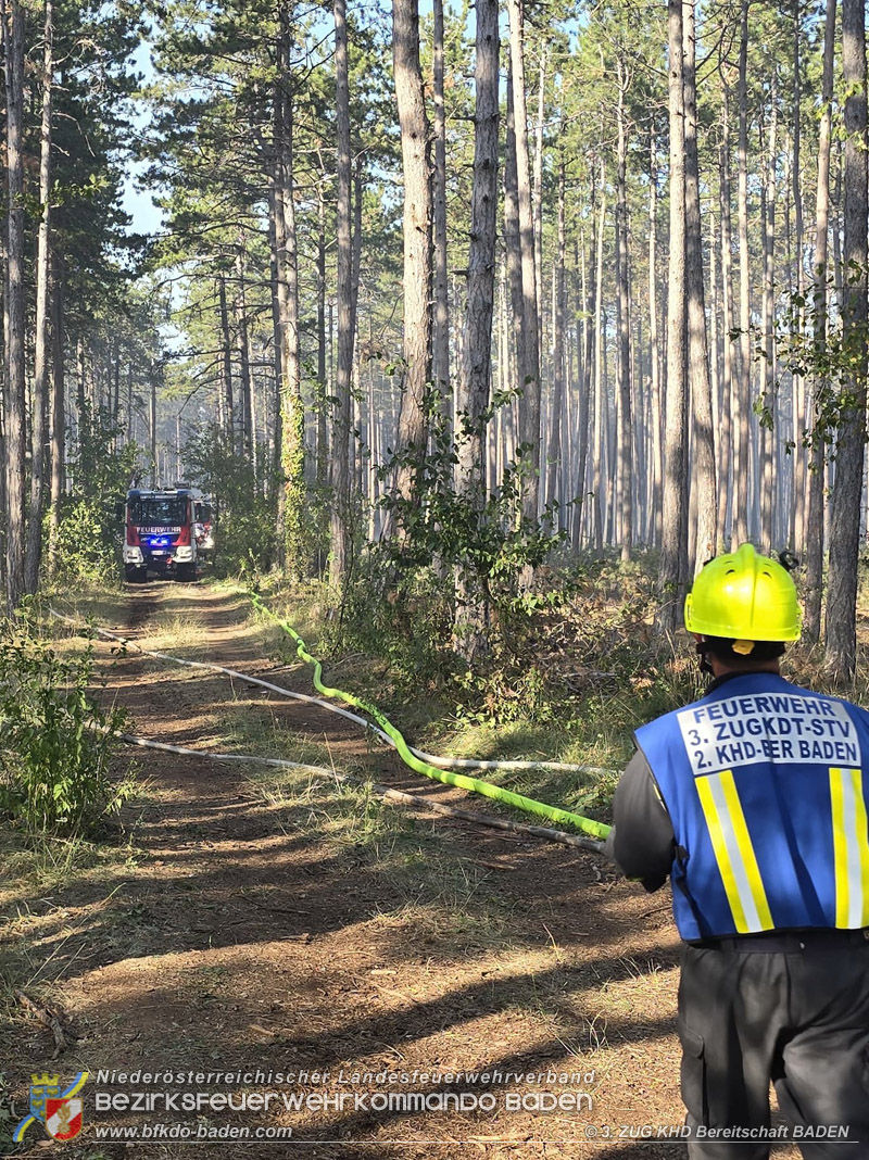 20260814-15_Kr&auml;fte aus dem Bezirk BADEN unterst&uuml;tzen wieder beim erneuten Brand im F&ouml;hrenwald St.Egyd am Steinfeld im Bezirk Neunkirchen