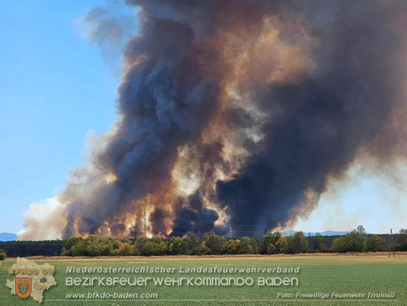 20260814-15_Kr&auml;fte aus dem Bezirk BADEN unterst&uuml;tzen wieder beim erneuten Brand im F&ouml;hrenwald St.Egyd am Steinfeld im Bezirk Neunkirchen