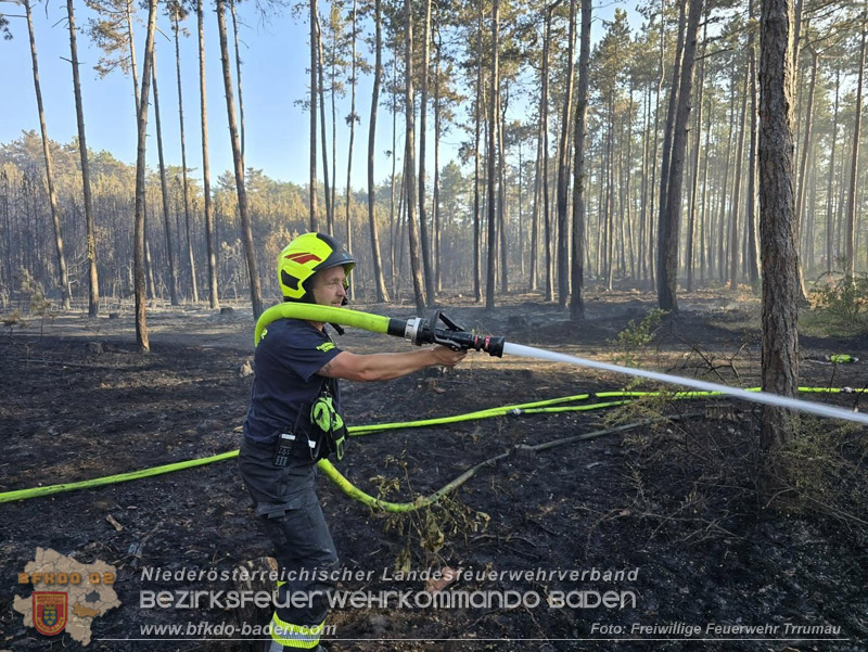 20260814-15_Kr&auml;fte aus dem Bezirk BADEN unterst&uuml;tzen wieder beim erneuten Brand im F&ouml;hrenwald St.Egyd am Steinfeld im Bezirk Neunkirchen