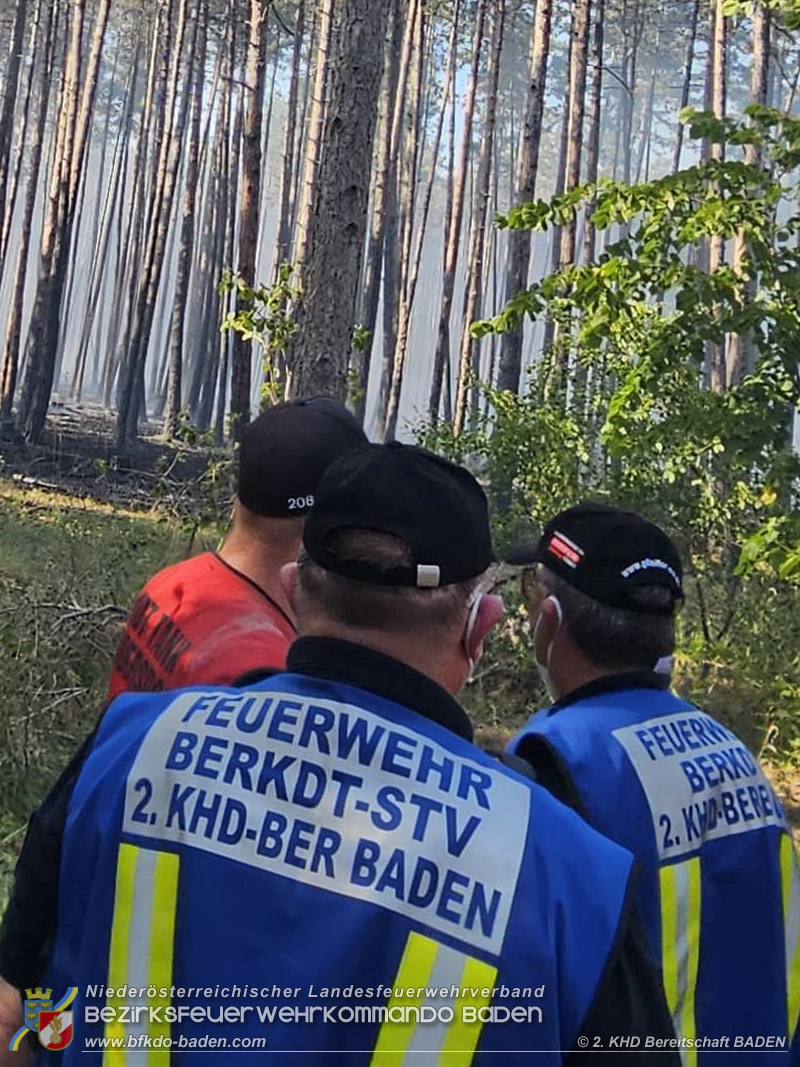 20260814-15_Kr&auml;fte aus dem Bezirk BADEN unterst&uuml;tzen wieder beim erneuten Brand im F&ouml;hrenwald St.Egyd am Steinfeld im Bezirk Neunkirchen