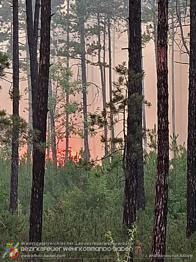 20260814-15_Kr&auml;fte aus dem Bezirk BADEN unterst&uuml;tzen wieder beim erneuten Brand im F&ouml;hrenwald St.Egyd am Steinfeld im Bezirk Neunkirchen