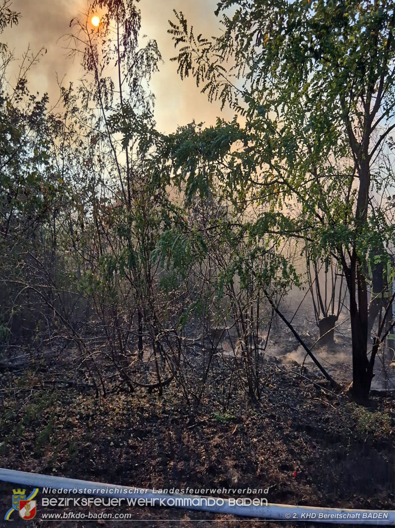 20260814-15_Kr&auml;fte aus dem Bezirk BADEN unterst&uuml;tzen wieder beim erneuten Brand im F&ouml;hrenwald St.Egyd am Steinfeld im Bezirk Neunkirchen