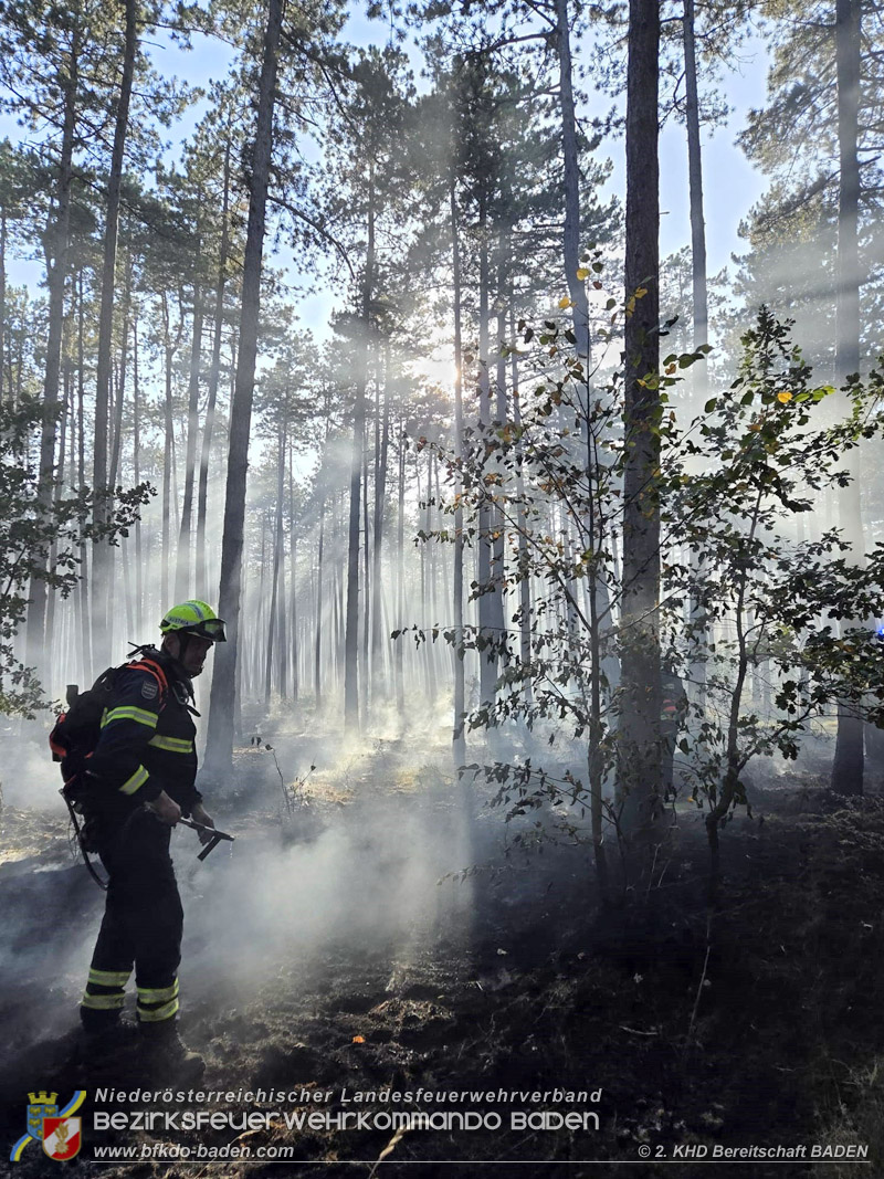 20260814-15_Kr&auml;fte aus dem Bezirk BADEN unterst&uuml;tzen wieder beim erneuten Brand im F&ouml;hrenwald St.Egyd am Steinfeld im Bezirk Neunkirchen