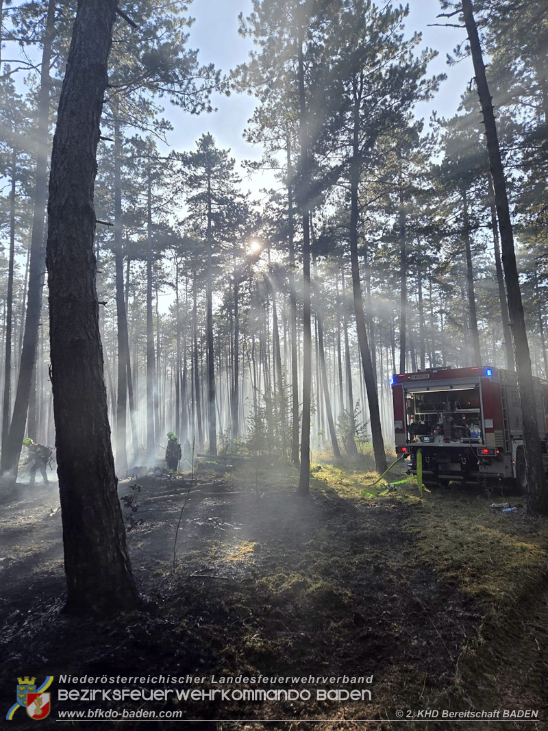 20260814-15_Kr&auml;fte aus dem Bezirk BADEN unterst&uuml;tzen wieder beim erneuten Brand im F&ouml;hrenwald St.Egyd am Steinfeld im Bezirk Neunkirchen
