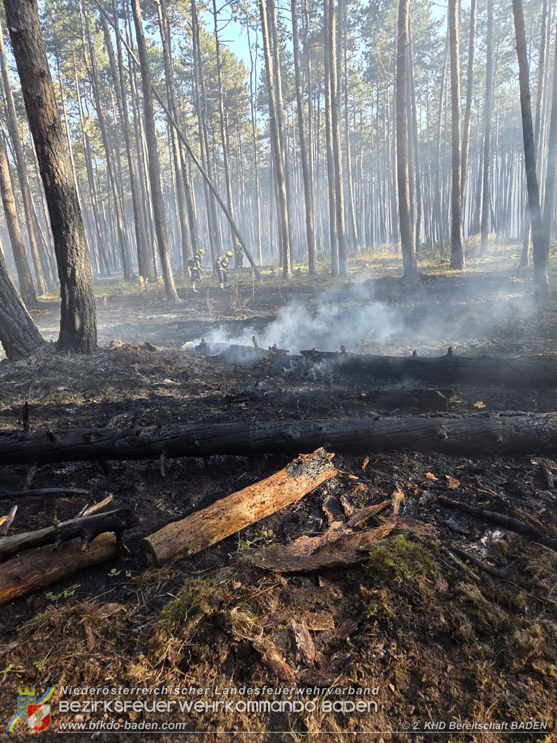 20260814-15_Kr&auml;fte aus dem Bezirk BADEN unterst&uuml;tzen wieder beim erneuten Brand im F&ouml;hrenwald St.Egyd am Steinfeld im Bezirk Neunkirchen