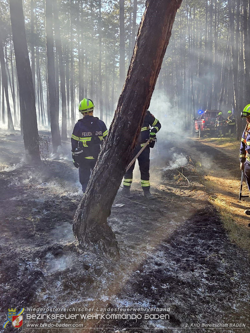 20260814-15_Kr&auml;fte aus dem Bezirk BADEN unterst&uuml;tzen wieder beim erneuten Brand im F&ouml;hrenwald St.Egyd am Steinfeld im Bezirk Neunkirchen