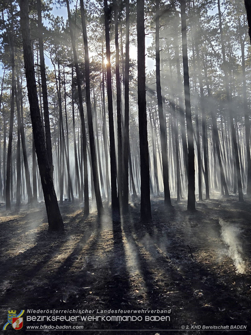 20260814-15_Kr&auml;fte aus dem Bezirk BADEN unterst&uuml;tzen wieder beim erneuten Brand im F&ouml;hrenwald St.Egyd am Steinfeld im Bezirk Neunkirchen