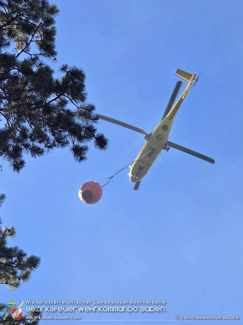 20260814-15_Kr&auml;fte aus dem Bezirk BADEN unterst&uuml;tzen wieder beim erneuten Brand im F&ouml;hrenwald St.Egyd am Steinfeld im Bezirk Neunkirchen