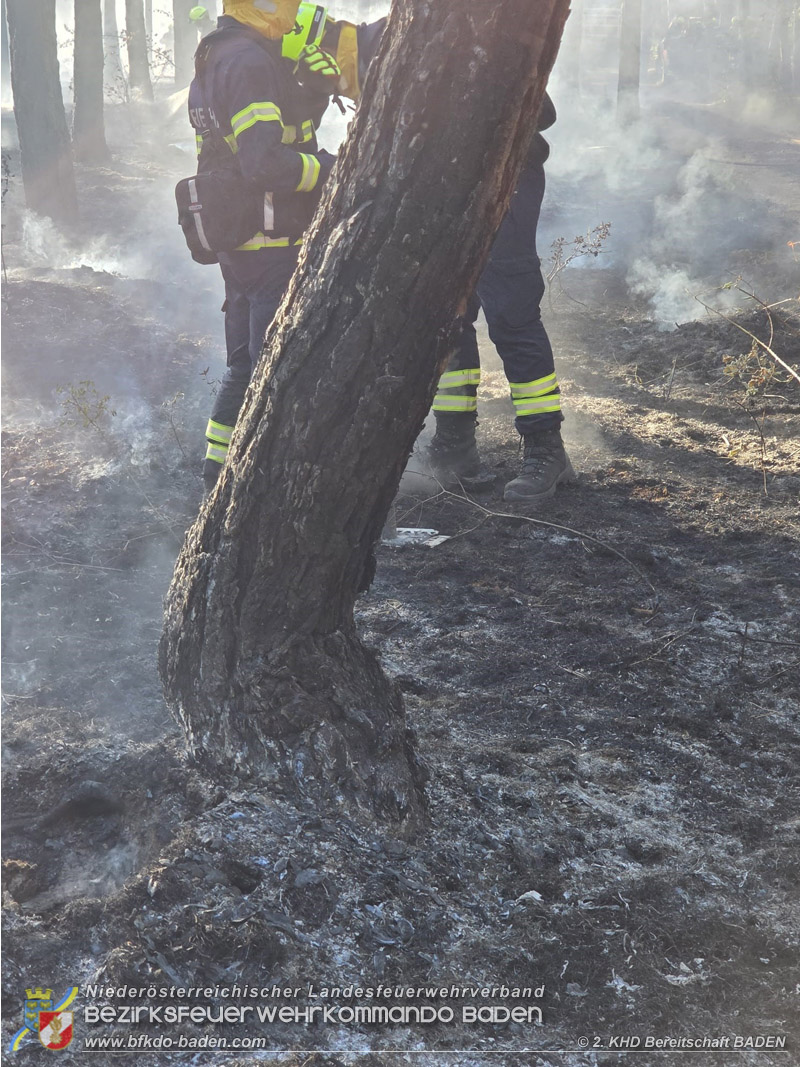 20260814-15_Kr&auml;fte aus dem Bezirk BADEN unterst&uuml;tzen wieder beim erneuten Brand im F&ouml;hrenwald St.Egyd am Steinfeld im Bezirk Neunkirchen