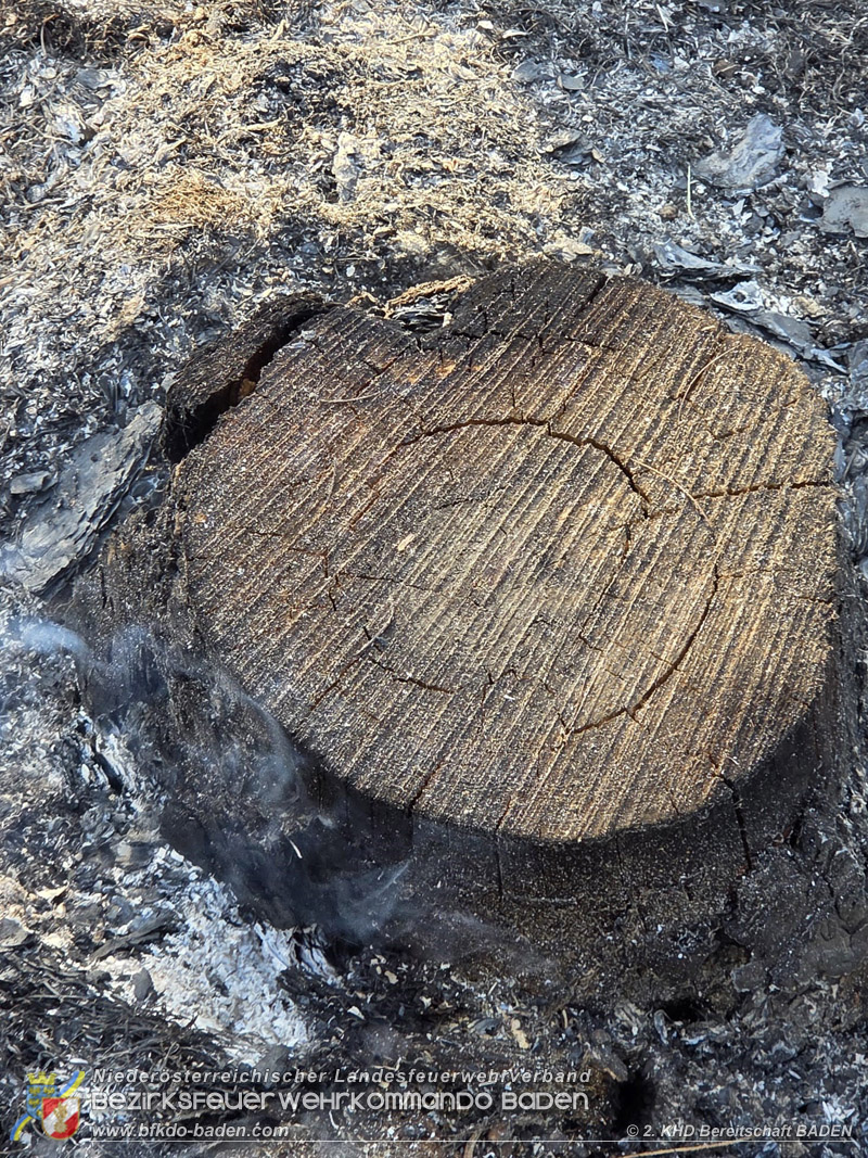 20260814-15_Kr&auml;fte aus dem Bezirk BADEN unterst&uuml;tzen wieder beim erneuten Brand im F&ouml;hrenwald St.Egyd am Steinfeld im Bezirk Neunkirchen