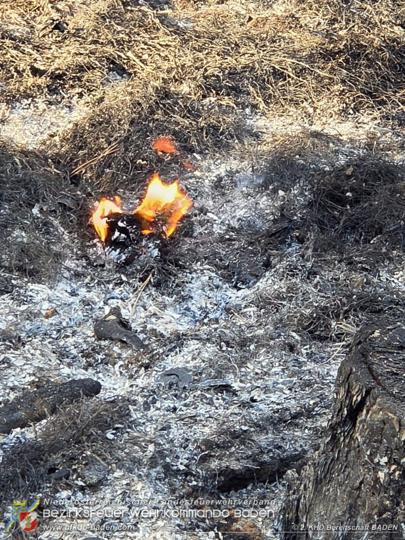 20260814-15_Kr&auml;fte aus dem Bezirk BADEN unterst&uuml;tzen wieder beim erneuten Brand im F&ouml;hrenwald St.Egyd am Steinfeld im Bezirk Neunkirchen