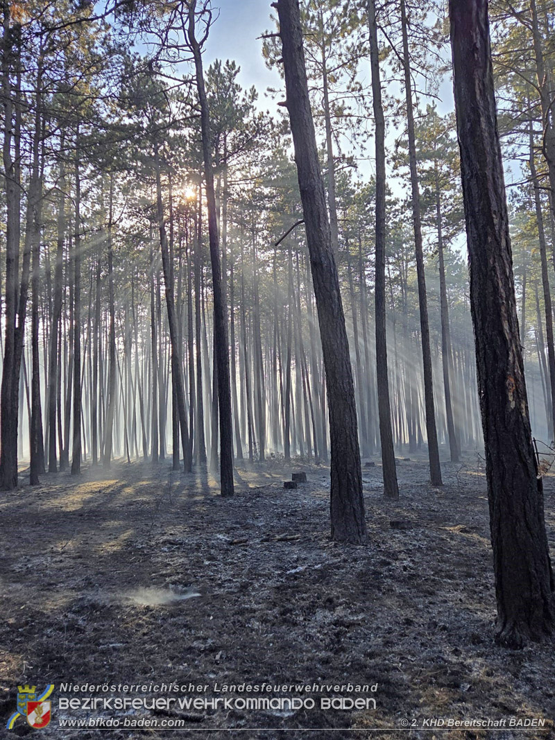 20260814-15_Kr&auml;fte aus dem Bezirk BADEN unterst&uuml;tzen wieder beim erneuten Brand im F&ouml;hrenwald St.Egyd am Steinfeld im Bezirk Neunkirchen