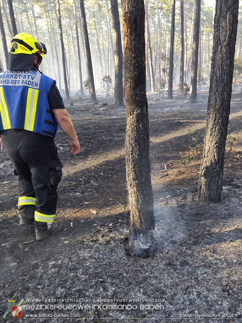 20260814-15_Kr&auml;fte aus dem Bezirk BADEN unterst&uuml;tzen wieder beim erneuten Brand im F&ouml;hrenwald St.Egyd am Steinfeld im Bezirk Neunkirchen