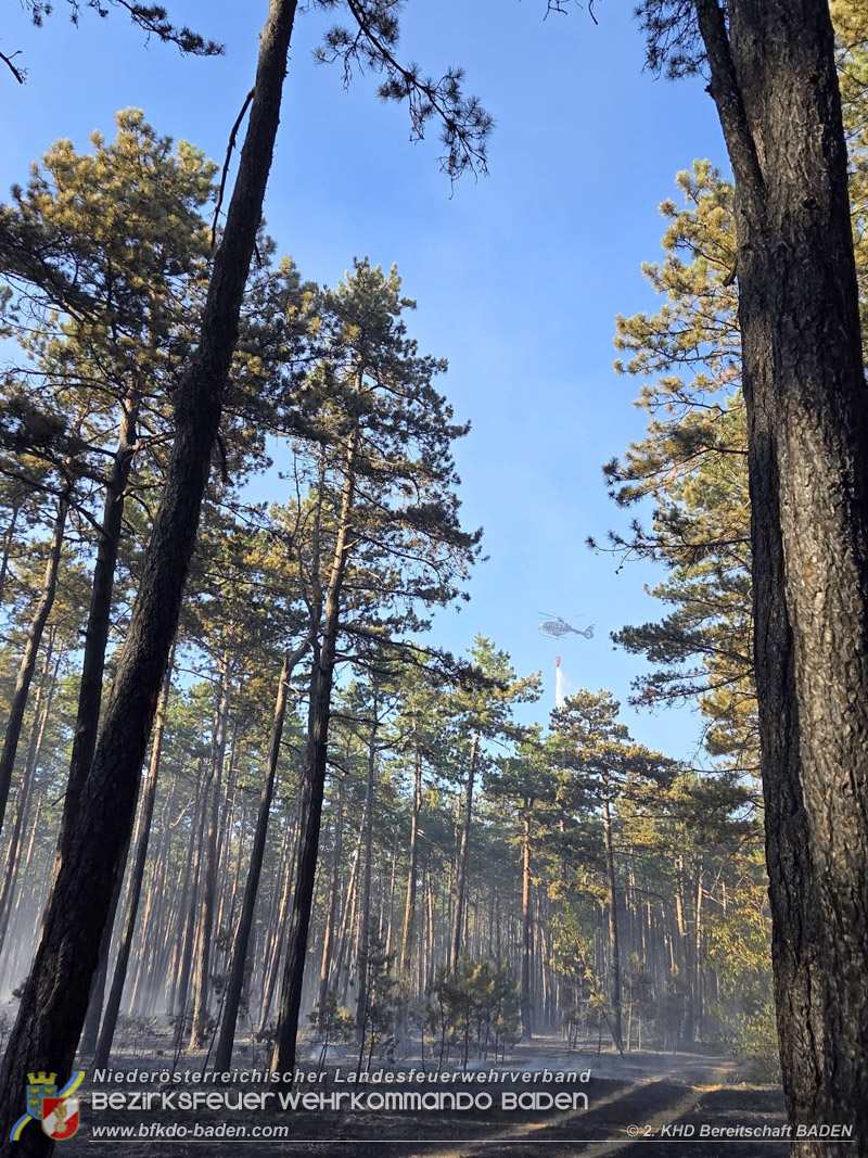 20260814-15_Kr&auml;fte aus dem Bezirk BADEN unterst&uuml;tzen wieder beim erneuten Brand im F&ouml;hrenwald St.Egyd am Steinfeld im Bezirk Neunkirchen