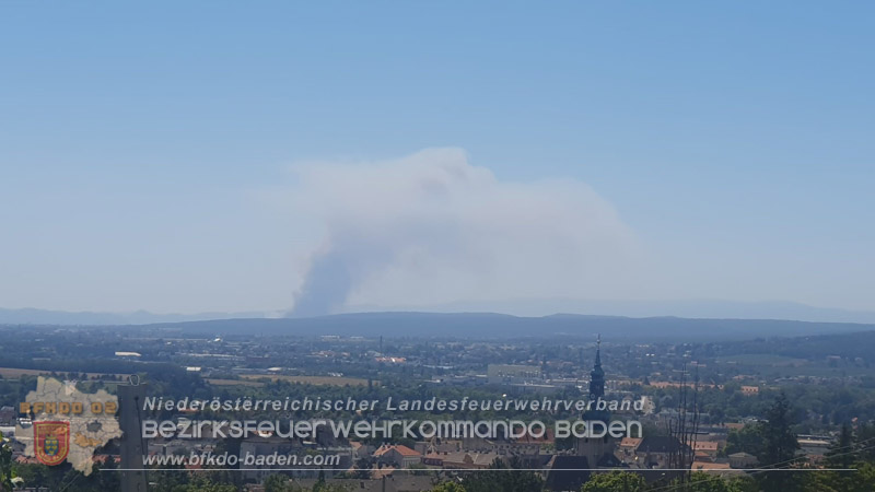 20260814-15_Kr&auml;fte aus dem Bezirk BADEN unterst&uuml;tzen wieder beim erneuten Brand im F&ouml;hrenwald St.Egyd am Steinfeld im Bezirk Neunkirchen