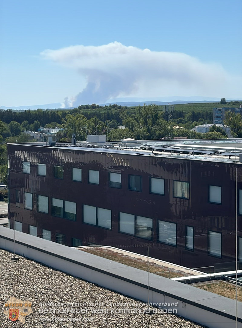 20260814-15_Kr&auml;fte aus dem Bezirk BADEN unterst&uuml;tzen wieder beim erneuten Brand im F&ouml;hrenwald St.Egyd am Steinfeld im Bezirk Neunkirchen