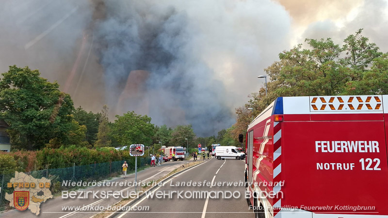 20260814-15_Kr&auml;fte aus dem Bezirk BADEN unterst&uuml;tzen wieder beim erneuten Brand im F&ouml;hrenwald St.Egyd am Steinfeld im Bezirk Neunkirchen