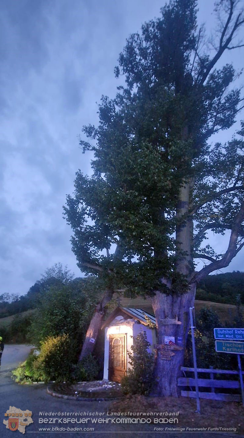 20260817_Gro�er Baum kippt gegen Kapelle - Foto: FF Furth/Triesting