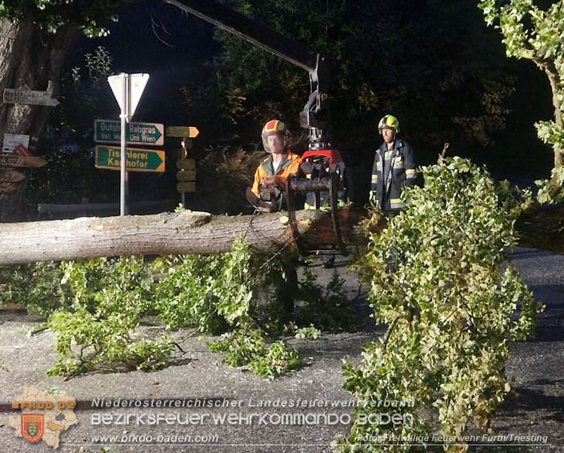 20260817_Gro�er Baum kippt gegen Kapelle - Foto: FF Furth/Triesting