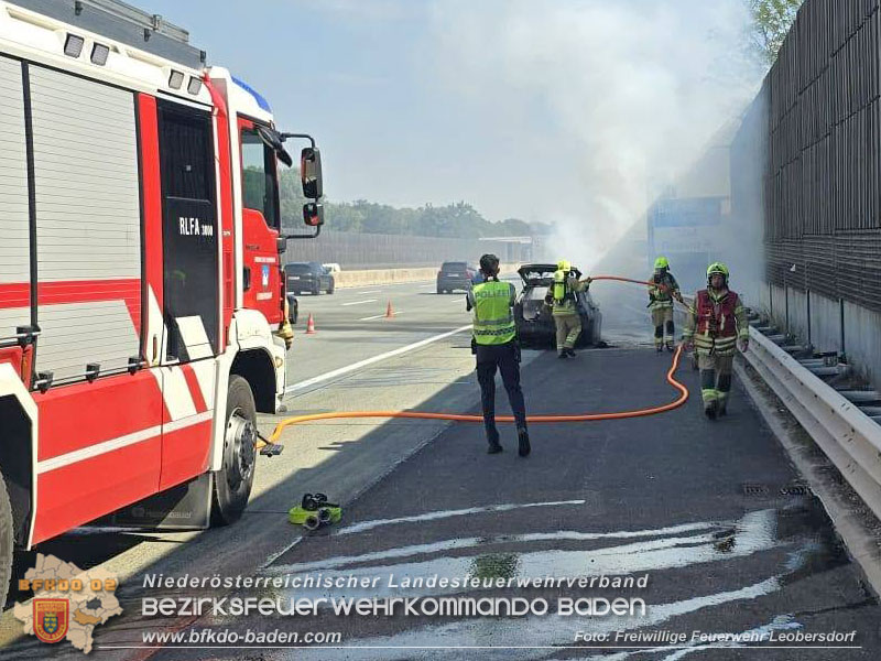 20260820_Fahrzeugbrand auf der A2 Richtungsfahrbahn Wien - Foto: FF Leobersdorf