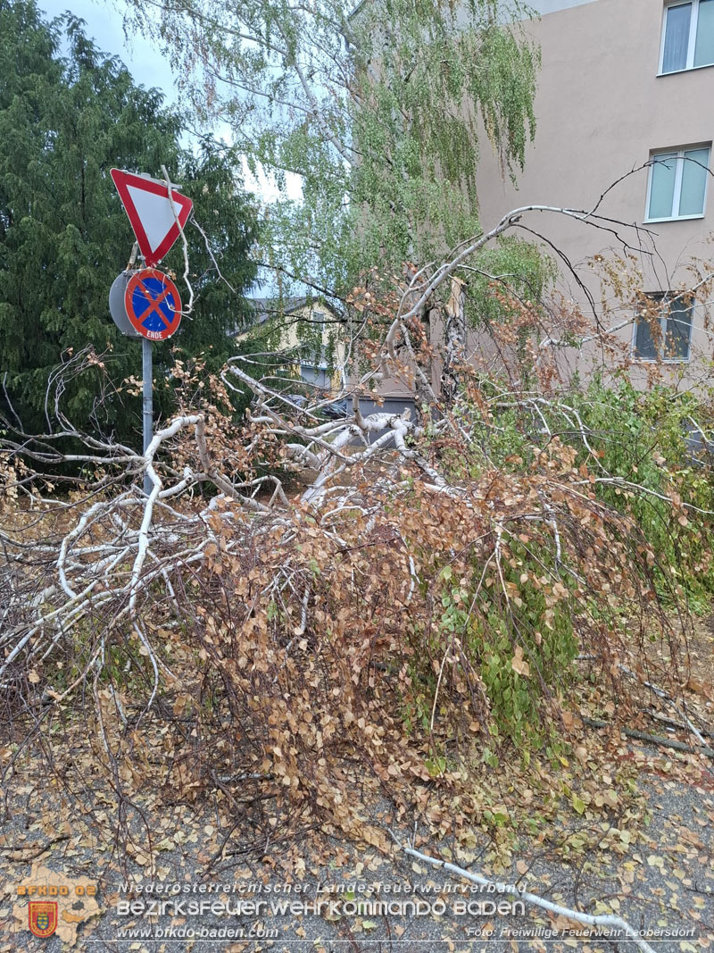 20260820_Gewiiterfront �ber den Osten �sterreichs - Foto: FF Leobersdorf