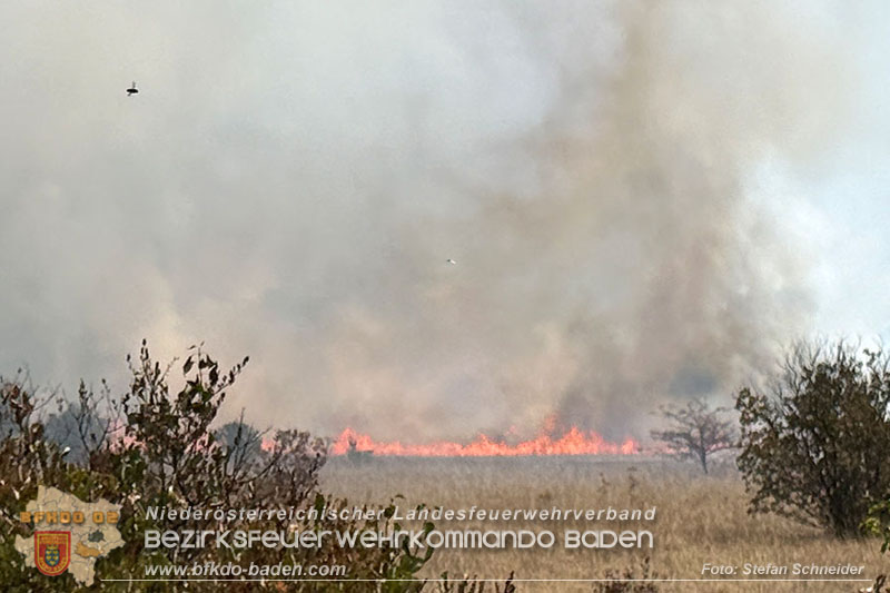 20260820_Ein Brand am Schie�platzgel�nde Gro�mittel und weitere Meldungen �ber Rauchentwicklung am G�PL Blumau l�sen Gro�einsatz aus