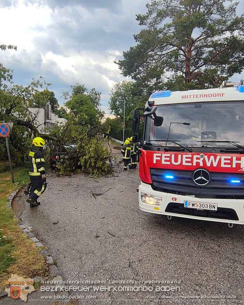 20260820_Unwettereins�tze nach heftigen Gewitter �ber N� - Foto: FF Mitterndorf/Fischa