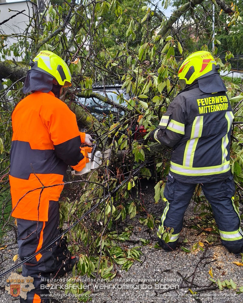 20260820_Unwettereins�tze nach heftigen Gewitter �ber N� - Foto: FF Mitterndorf/Fischa