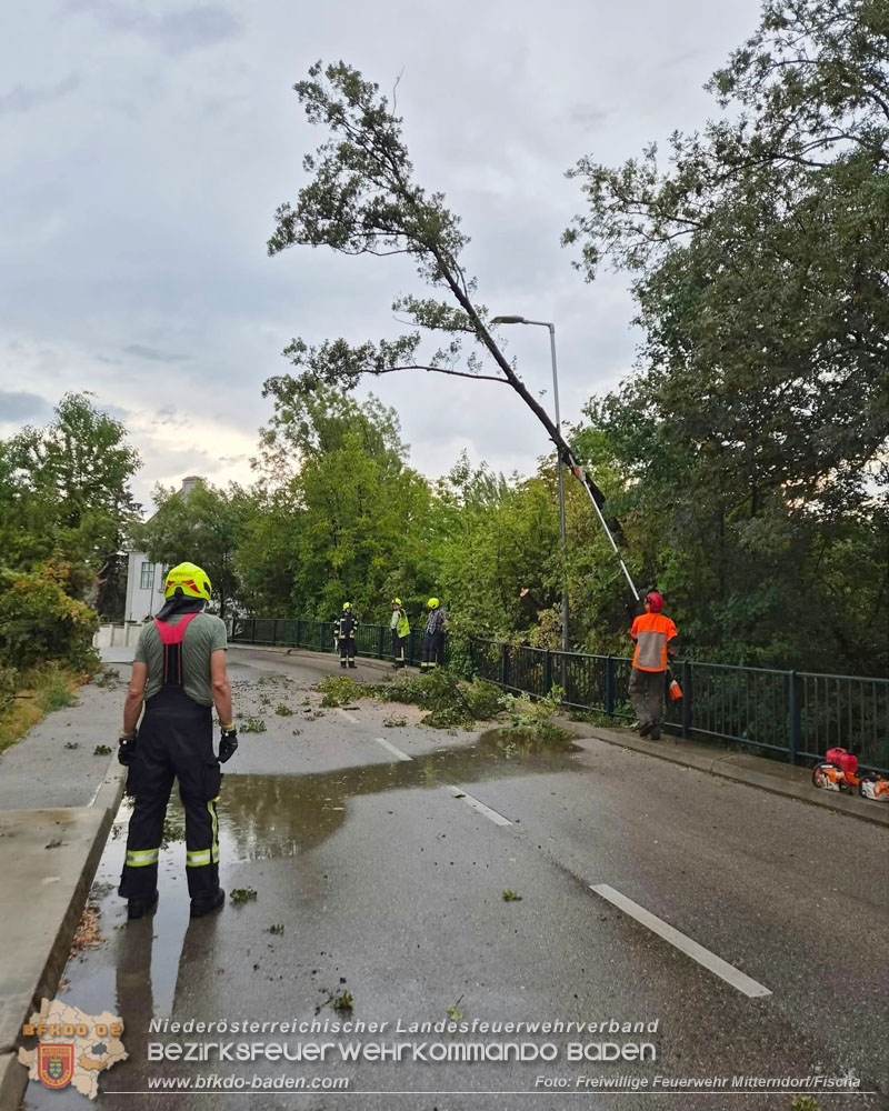 20260820_Unwettereins�tze nach heftigen Gewitter �ber N� - Foto: FF Mitterndorf/Fischa
