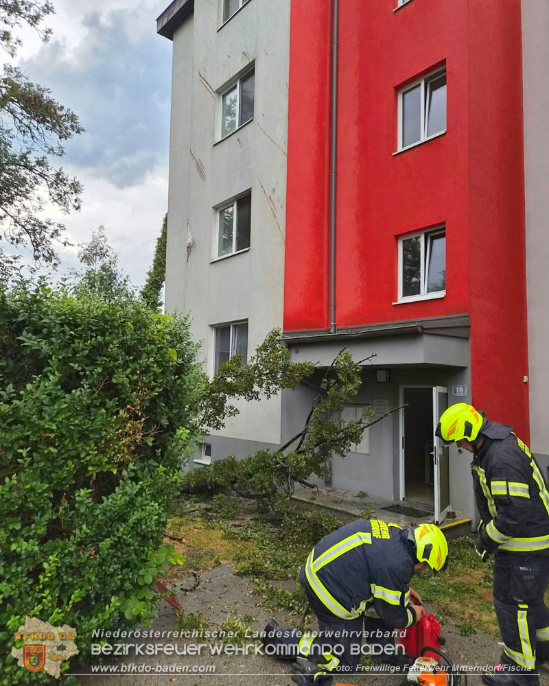 20260820_Unwettereins�tze nach heftigen Gewitter �ber N� - Foto: FF Mitterndorf/Fischa