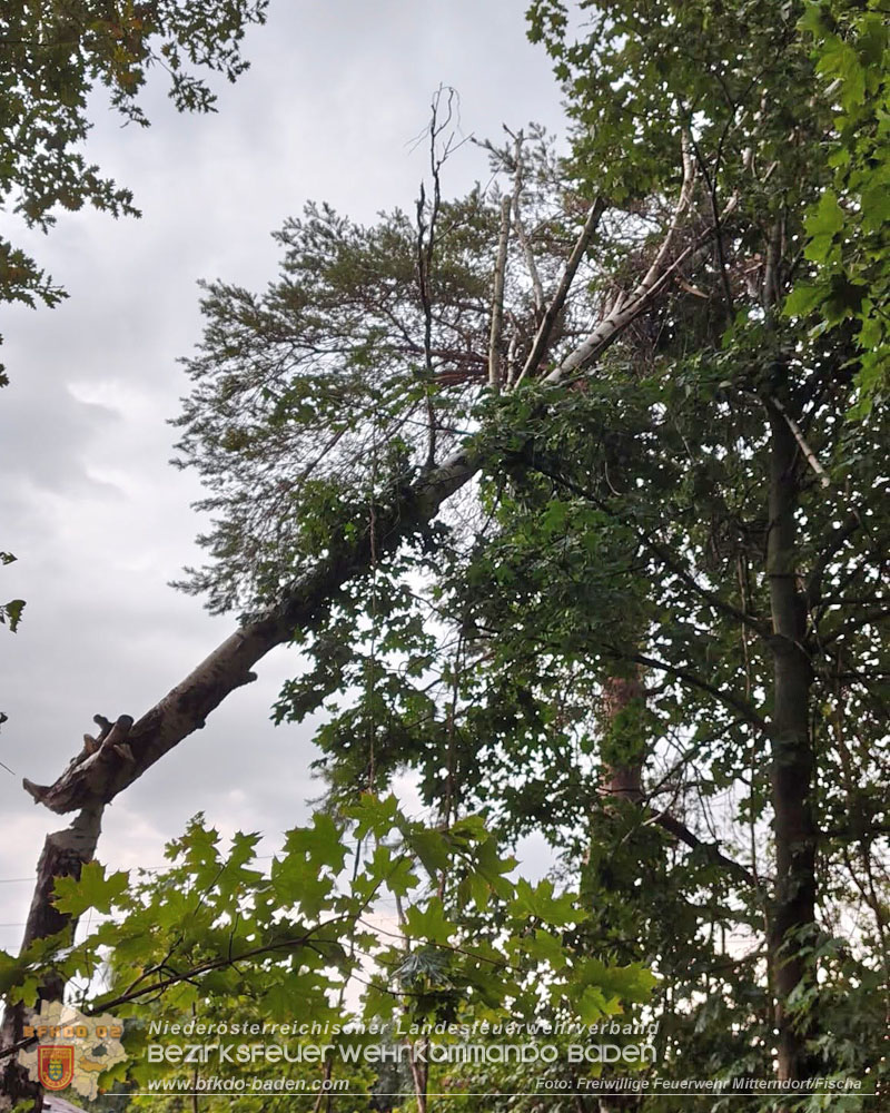 20260820_Unwettereins�tze nach heftigen Gewitter �ber N� - Foto: FF Mitterndorf/Fischa