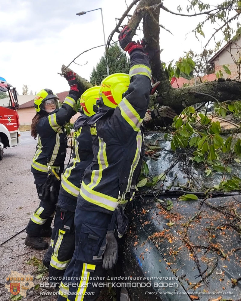 20260820_Unwettereins�tze nach heftigen Gewitter �ber N� - Foto: FF Mitterndorf/Fischa