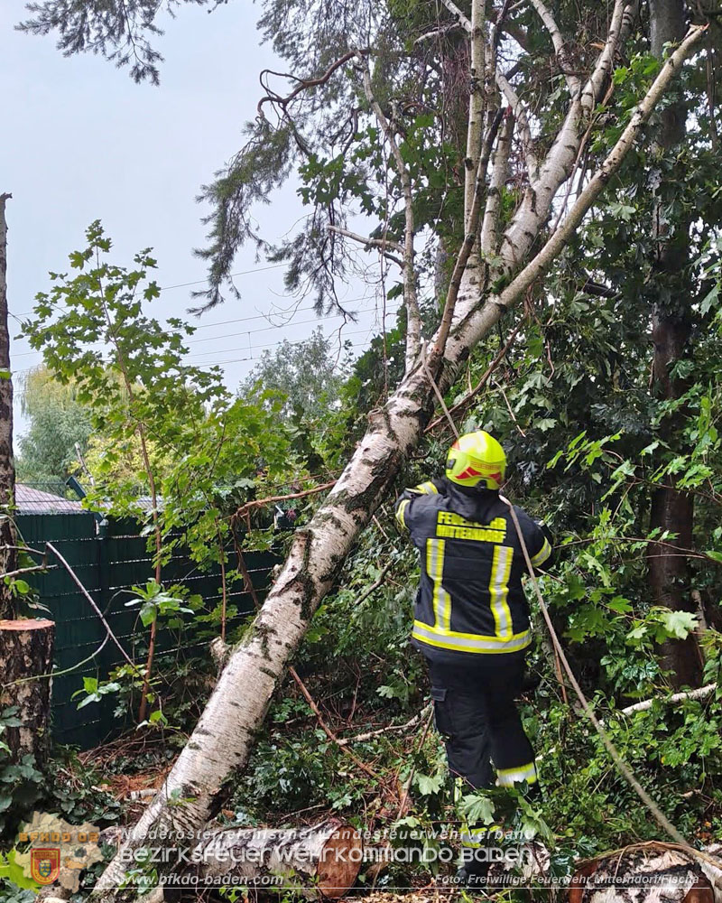 20260820_Unwettereins�tze nach heftigen Gewitter �ber N� - Foto: FF Mitterndorf/Fischa