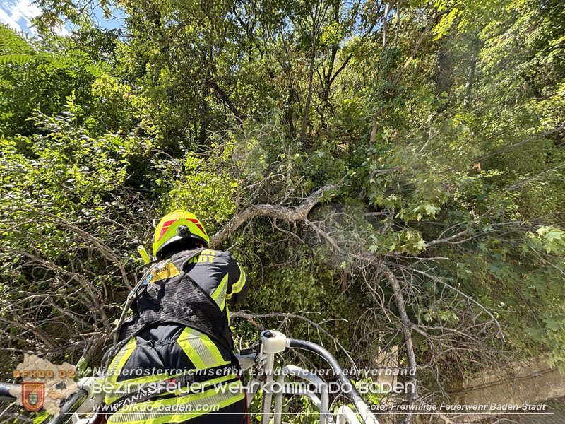 20260822_Baum st�rzt auf Stromleitung - Foto: Freiwillige Feuerwehr Baden-Stadt
