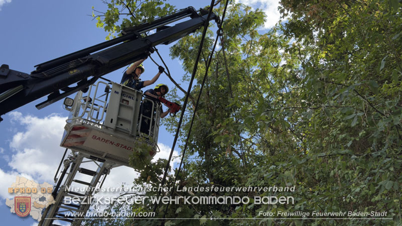 20260822_Baum st�rzt auf Stromleitung - Foto: Freiwillige Feuerwehr Baden-Stadt