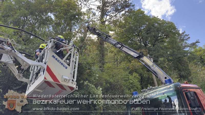 20260822_Baum st�rzt auf Stromleitung - Foto: Freiwillige Feuerwehr Baden-Stadt