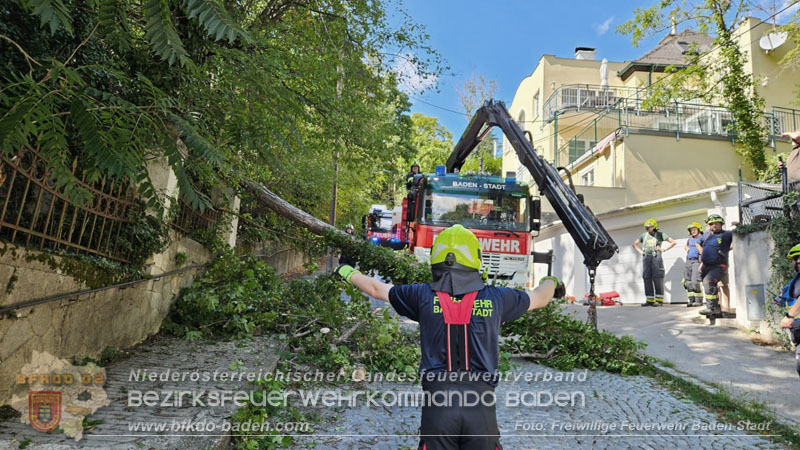 20260822_Baum st�rzt auf Stromleitung - Foto: Freiwillige Feuerwehr Baden-Stadt