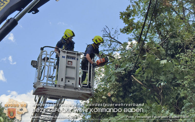 20260822_Baum st�rzt auf Stromleitung - Foto: Freiwillige Feuerwehr Baden-Stadt