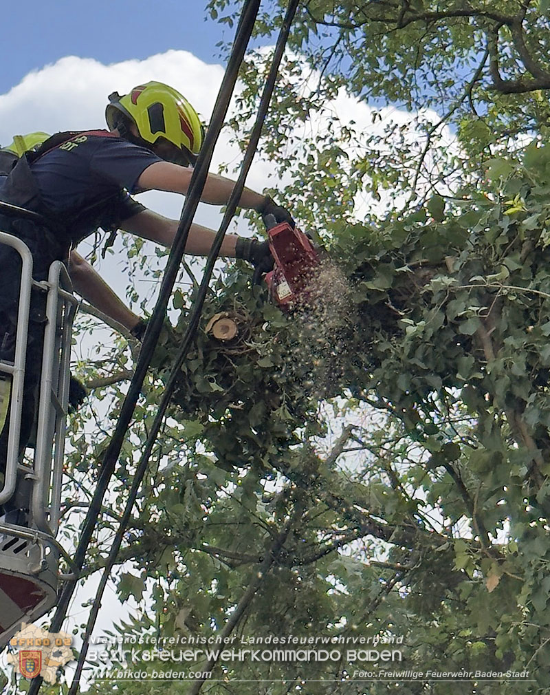 20260822_Baum st�rzt auf Stromleitung - Foto: Freiwillige Feuerwehr Baden-Stadt