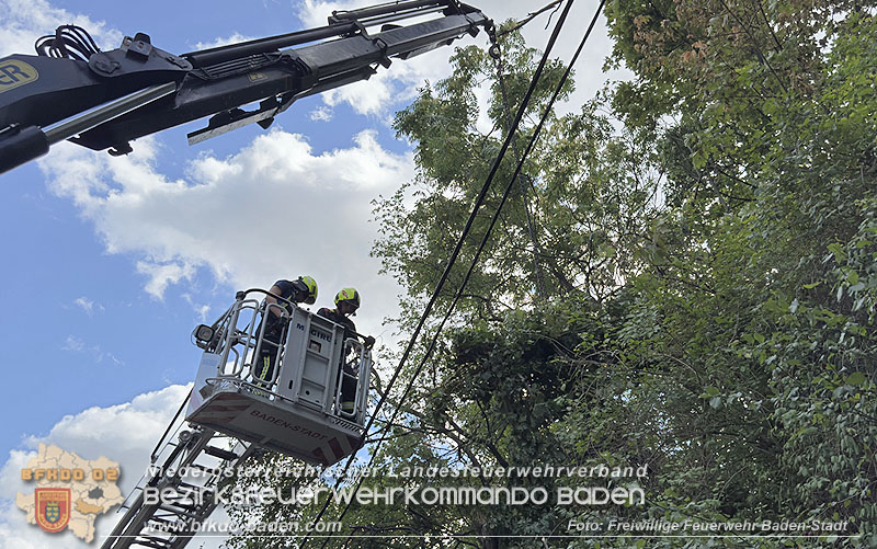 20260822_Baum st�rzt auf Stromleitung - Foto: Freiwillige Feuerwehr Baden-Stadt