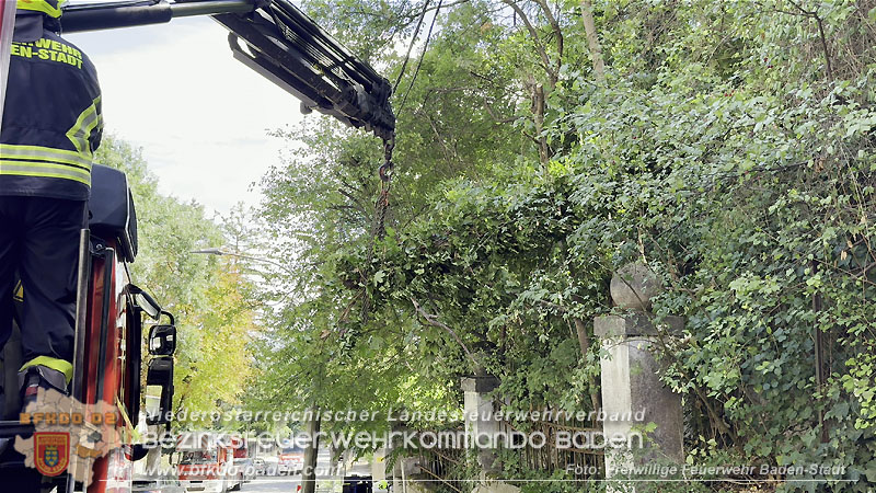 20260822_Baum st�rzt auf Stromleitung - Foto: Freiwillige Feuerwehr Baden-Stadt
