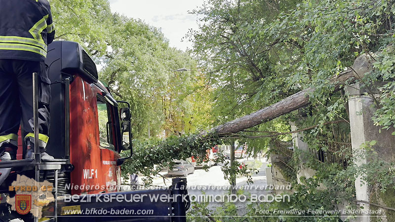 20260822_Baum st�rzt auf Stromleitung - Foto: Freiwillige Feuerwehr Baden-Stadt