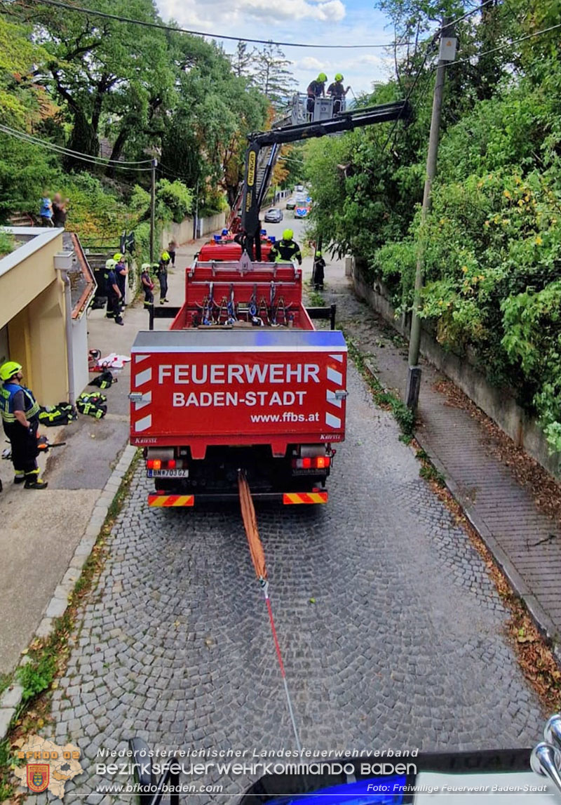 20260822_Baum st�rzt auf Stromleitung - Foto: Freiwillige Feuerwehr Baden-Stadt