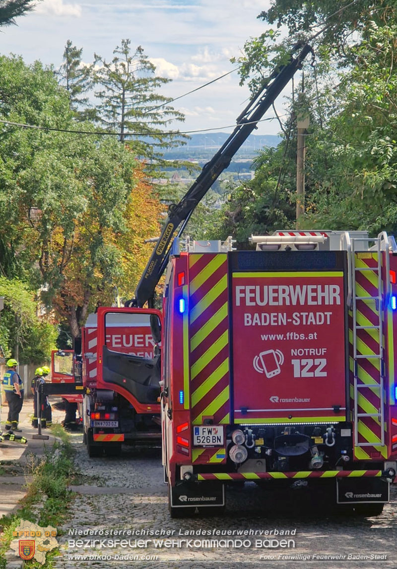 20260822_Baum st�rzt auf Stromleitung - Foto: Freiwillige Feuerwehr Baden-Stadt