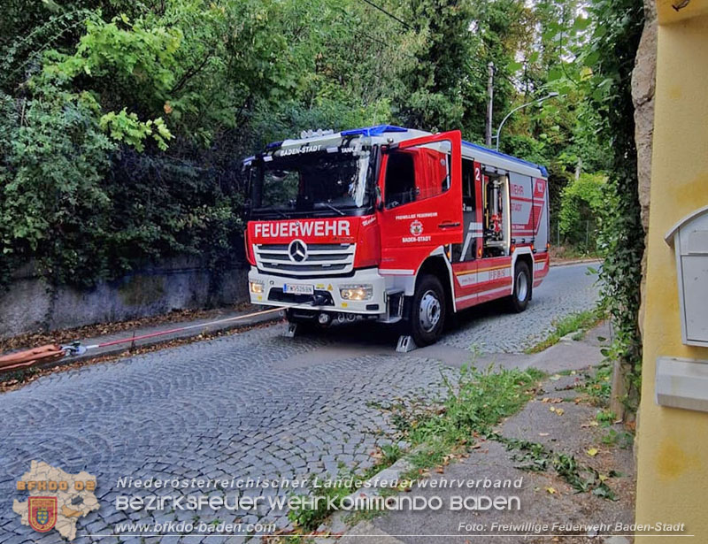 20260822_Baum st�rzt auf Stromleitung - Foto: Freiwillige Feuerwehr Baden-Stadt