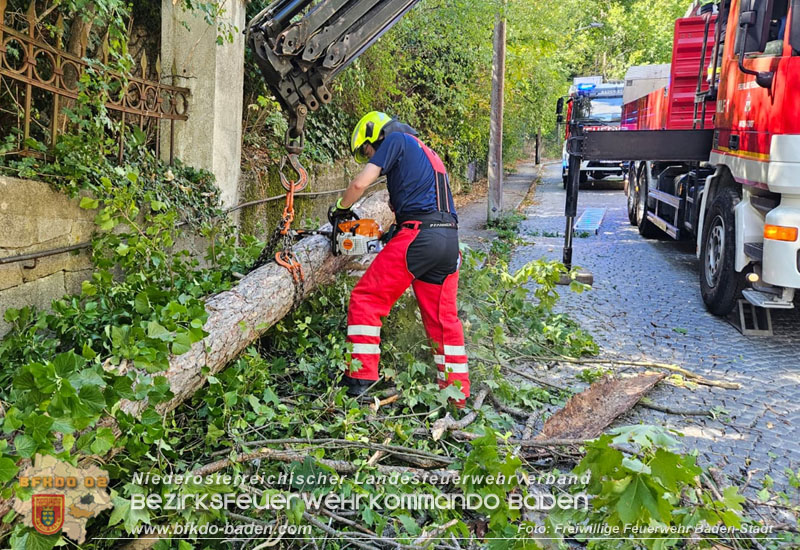 20260822_Baum st�rzt auf Stromleitung - Foto: Freiwillige Feuerwehr Baden-Stadt