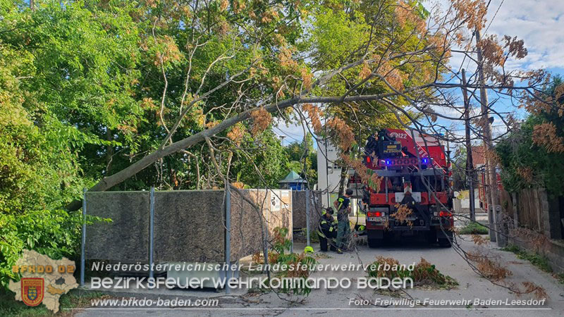 20260829_20260829_N�chtlicher Sturm sorgte f�r Feuerwehreins�tze - Foto: FF Baden-Leesdorf