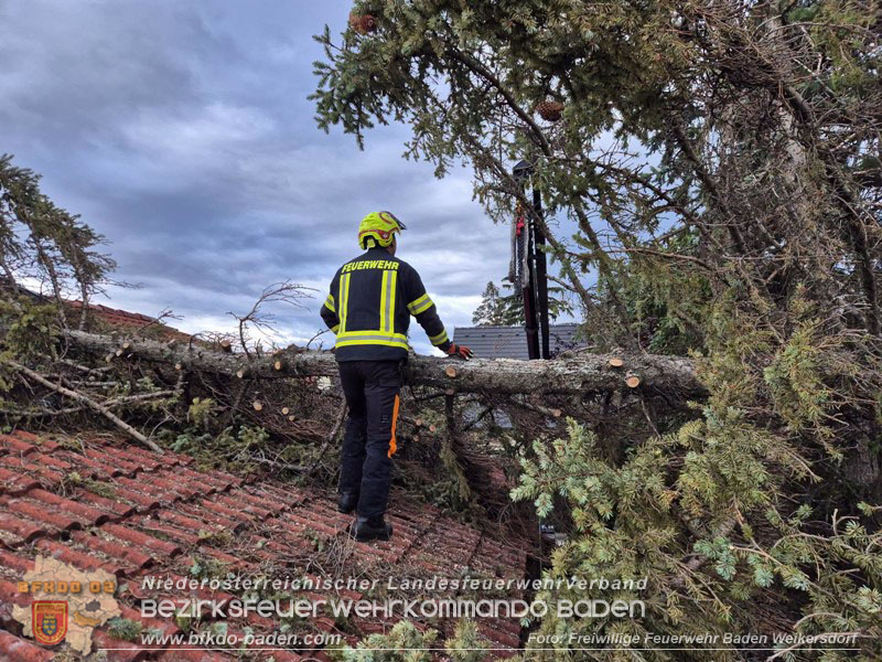 20260829_20260829_N�chtlicher Sturm sorgte f�r Feuerwehreins�tze - Foto: FF Baden Weikersdorf