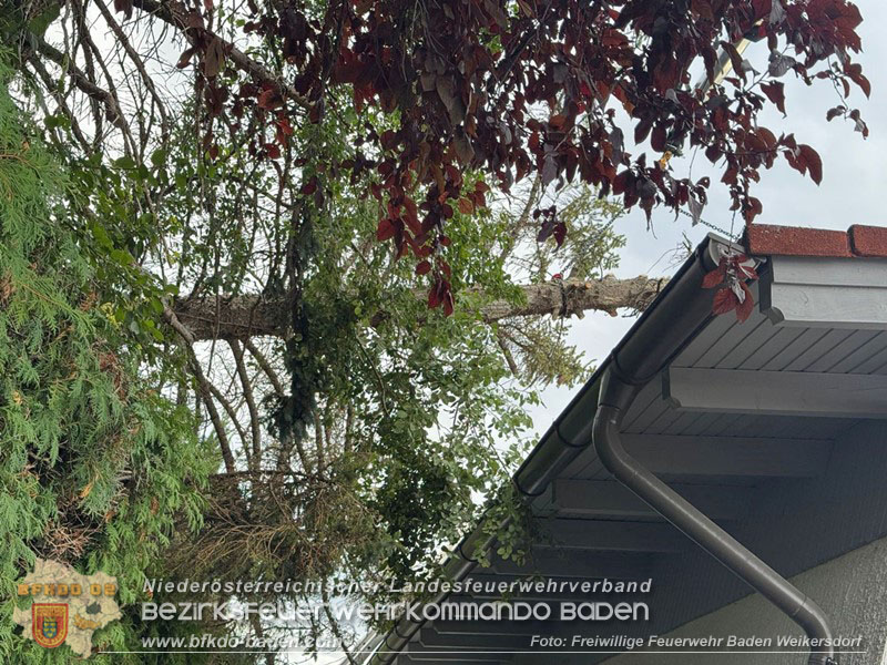 20260829_20260829_N�chtlicher Sturm sorgte f�r Feuerwehreins�tze - Foto: FF Baden Weikersdorf